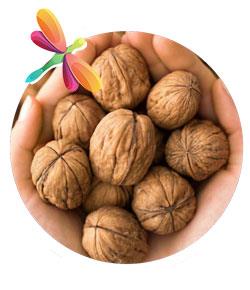 سوپر 1800 گرمی